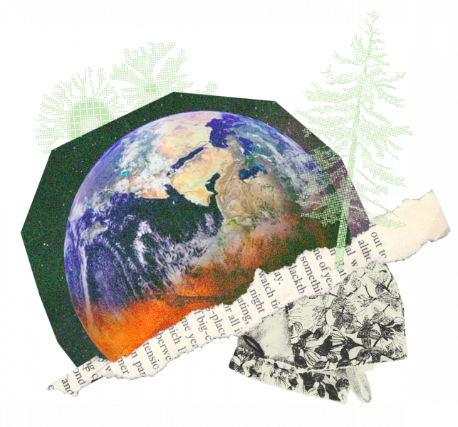 Estructura SEO Xain (11)