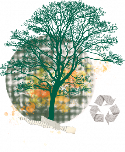 Estructura SEO Xain (12)